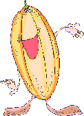 gif melon