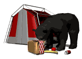 picnic