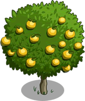 arbol de pomelos