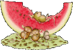 Gif de sandia