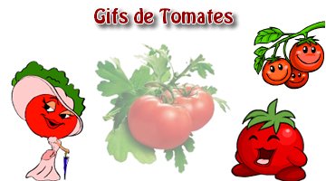 Tomates