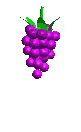 Gif uvas