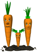 Familia de Zanahorias