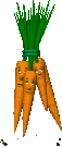 ramillete de zanahorias