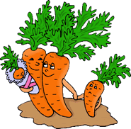 Zanahorias