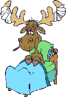 Gif de alce