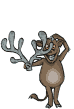 Gif de alce