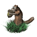 Gif de ardilla