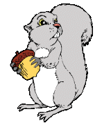 Gif de ardilla