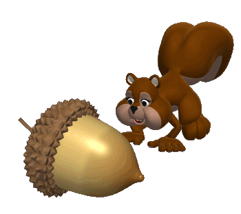 gif de ardilla