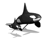 ballenas