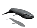Gif de ballenas