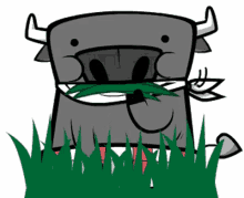 gif de bufalo comiendo