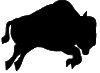 bufalo