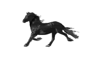 caballo al trote