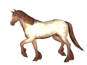 gif de caballo