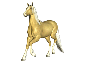 caballo
