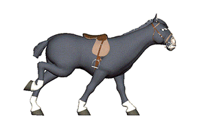 Gif de caballo