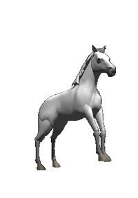 caballo