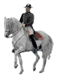 caballo animado