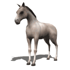 Gif de caballo