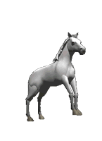 caballo animado