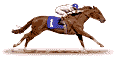 Gif de caballo