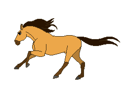 caballo