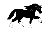 caballo