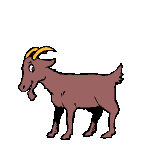 cabra animada