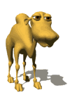 Gif camella