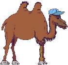 Gif camello