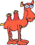 camello