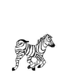 cebras
