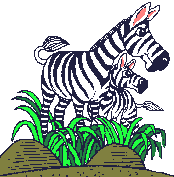 gif canguro