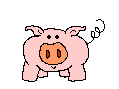 gif puerco