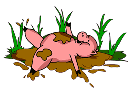 cerdo tumbado