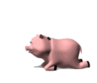 cerdo