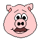 gif cerdo