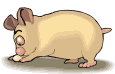cerdito