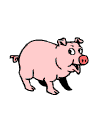 gif de cerdo