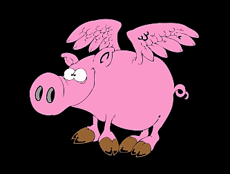 cerdo