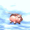 cerdo