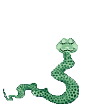 cobra