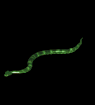 gif de cobra
