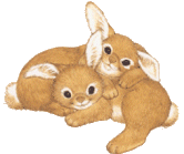 gif de conejos