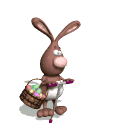 conejo