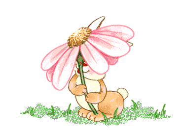 conejo