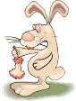 conejo