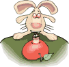 gif conejo